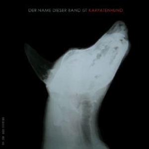 Der Name dieser Band ist Karpatenhund cover