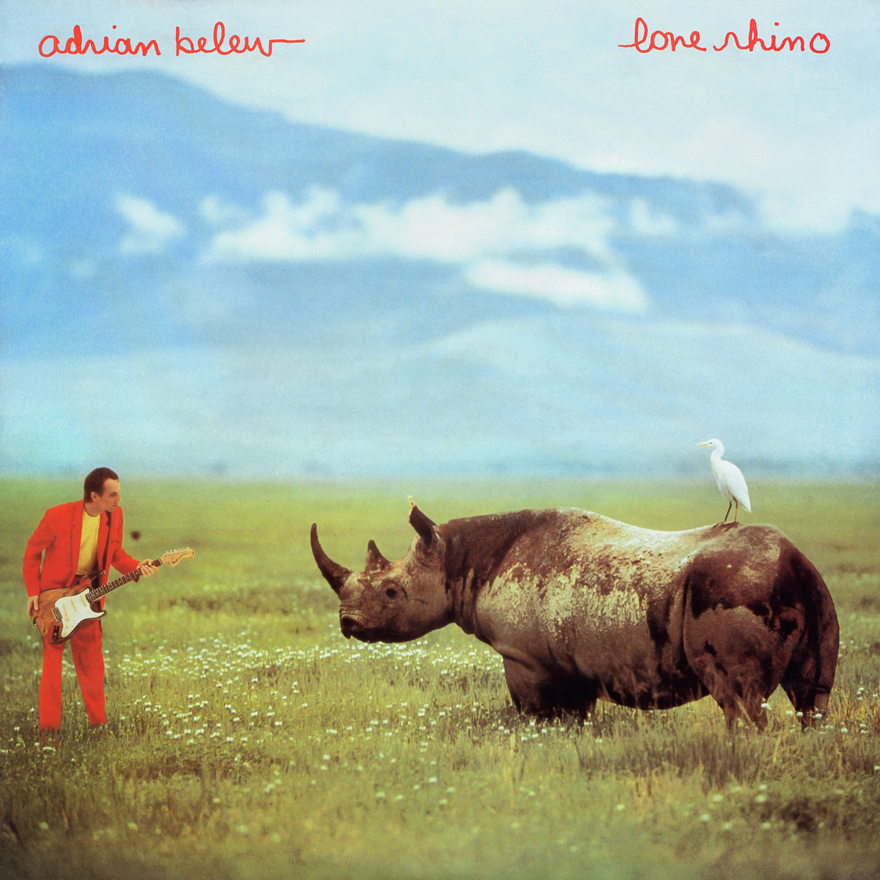 Lone Rhino cover