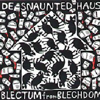 De Snaunted Haus cover