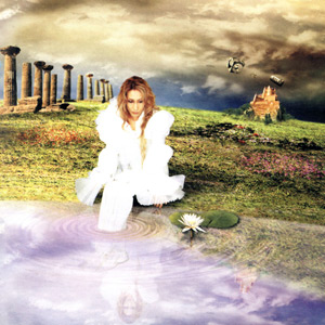 Arc cover