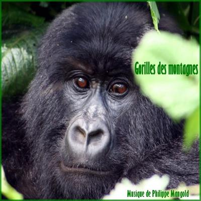 Gorilles des montagnes cover