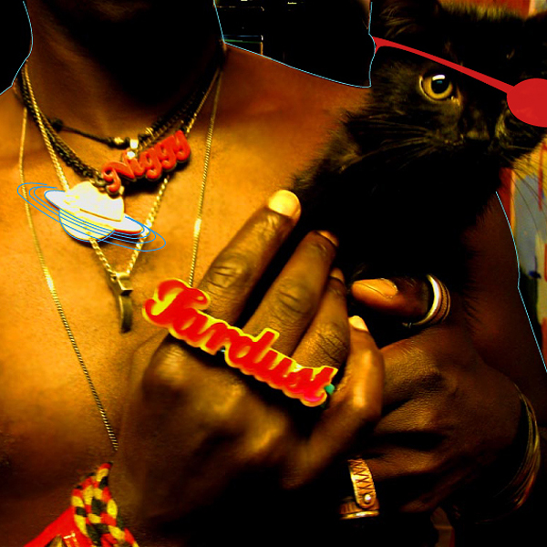 The Inevitable Rise and Liberation of NiggyTardust! cover