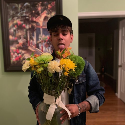 Bee's Knees Freestyle