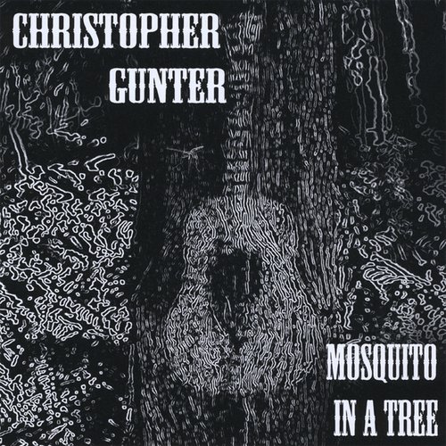 Mosquito in a Tree
