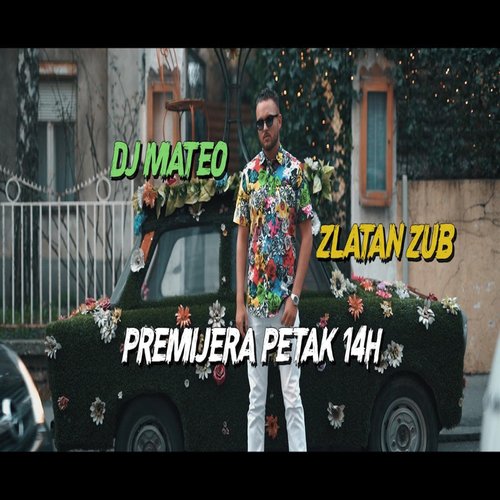 Zlatan Zub