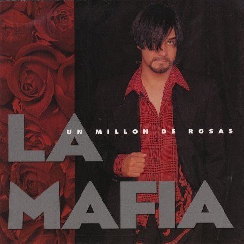 Un Millón De Rosas