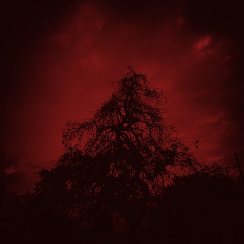 Scarlet Ethereal
