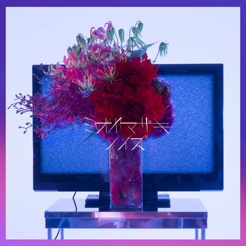 NOISE