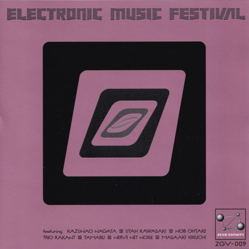 Electronic Music Festival
