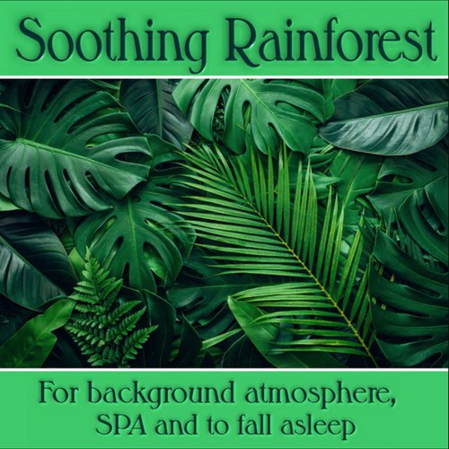 Soothing Rainforest: Sounds for background atmosphere, SPA and to fall asleep