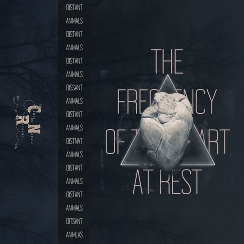 The Frequency Of The Heart At Rest