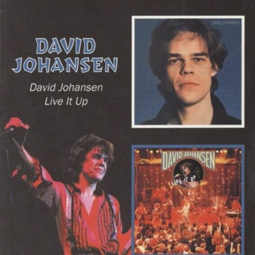 David Johansen/Live It Up