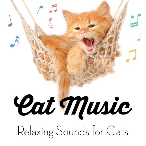 Cat Music - Relaxing Sounds for Cats