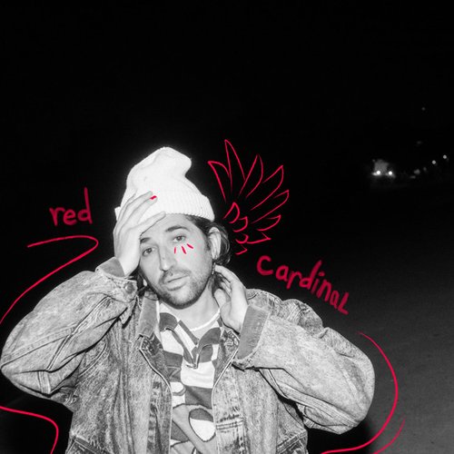 Red Cardinal