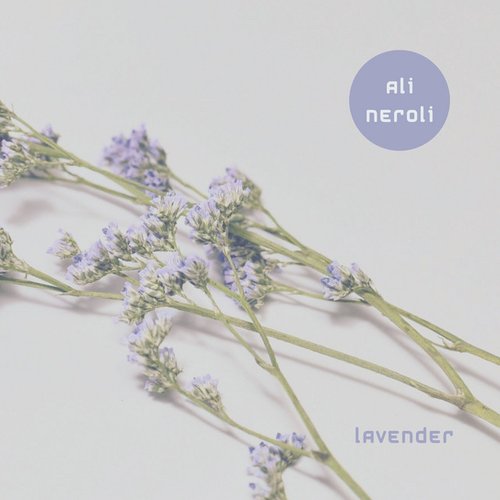 Lavender