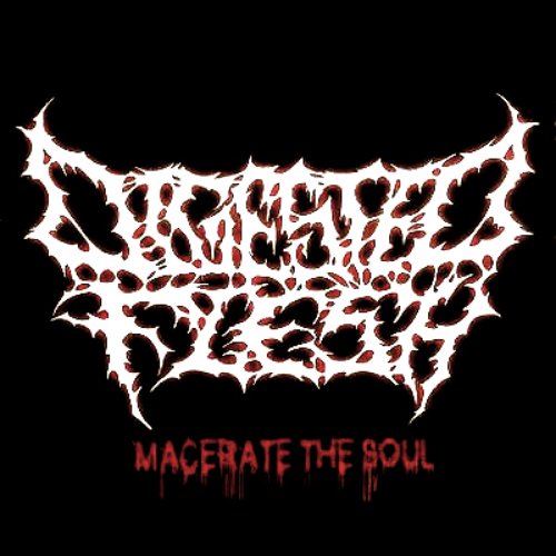 Macerate The Soul