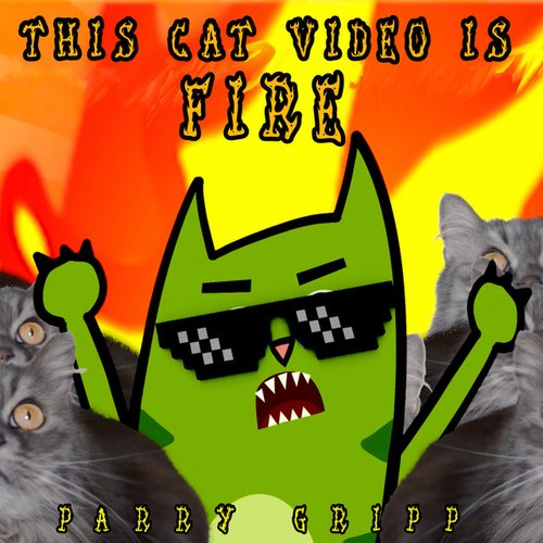 This Cat Video Is Fire