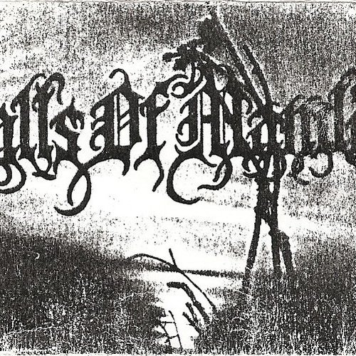 As The Evil Wins