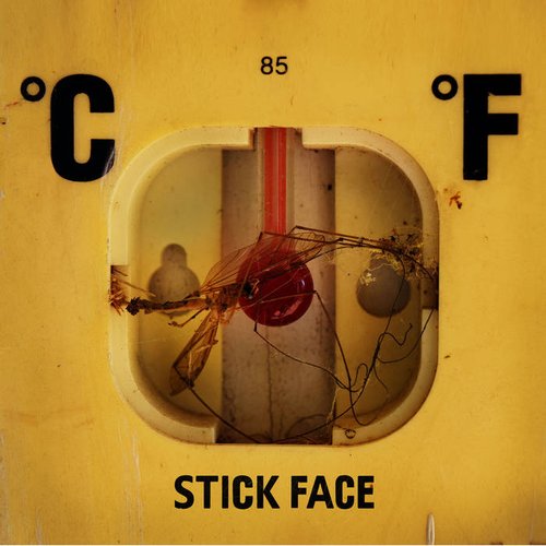 Stick Face