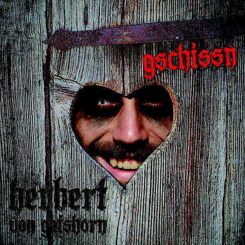 Gschissn