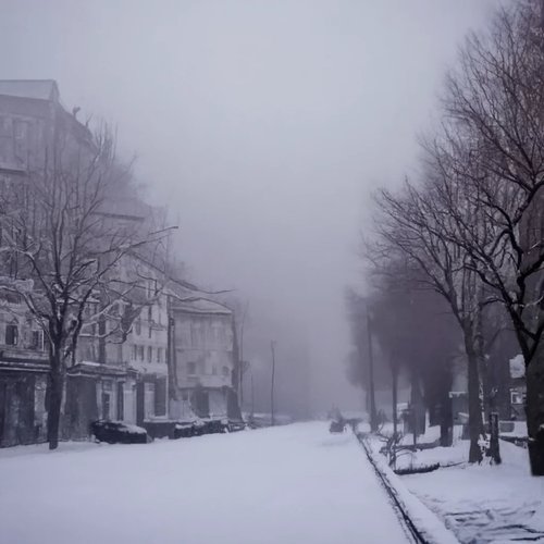 Cold - Single