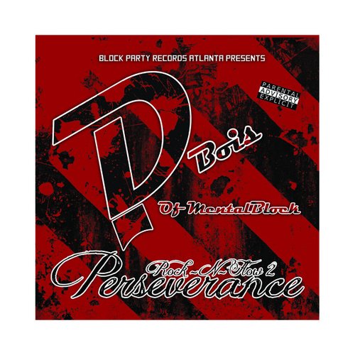 Rock-N-Flow2 (Perseverance)