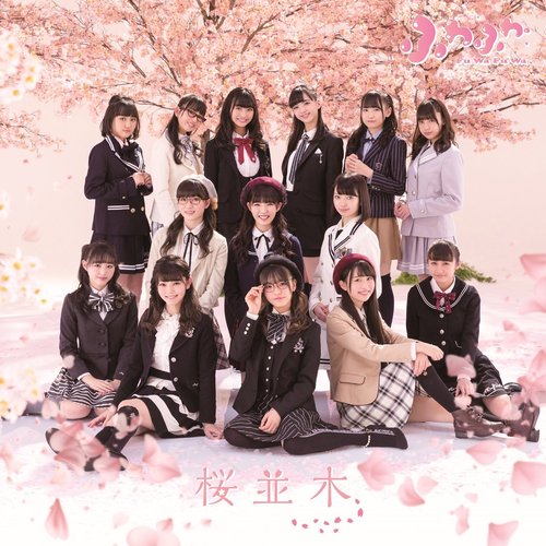 桜並木