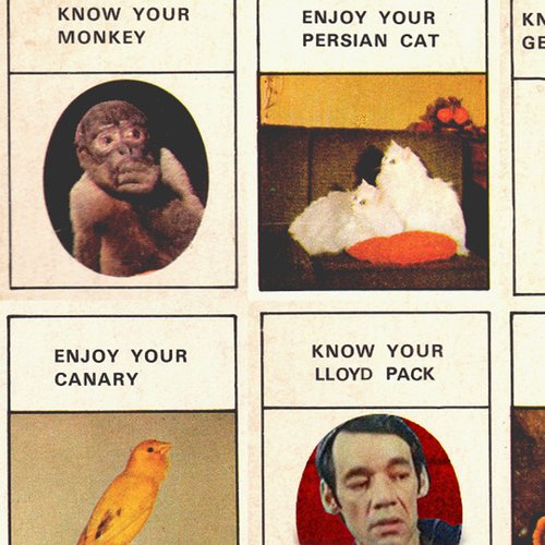 Know Your Lloyd Pack