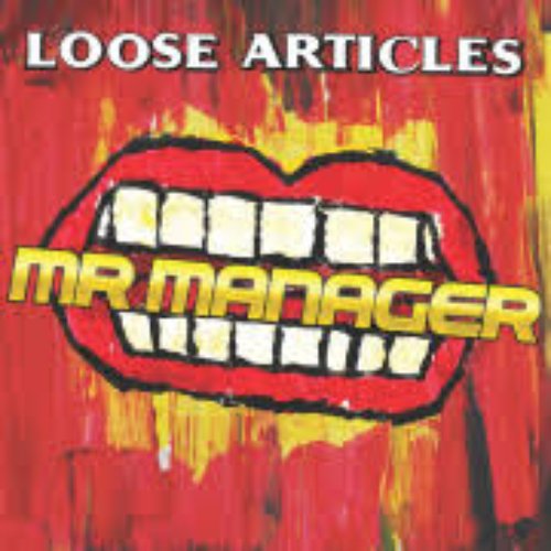 Mr Manager