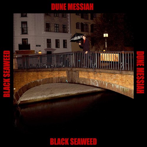 Black Seaweed - Single