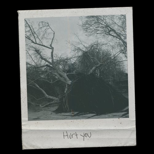 Hurt You [Explicit]