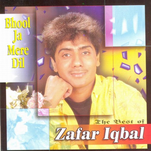 Bhool Ja Mere Dil (Best Of)