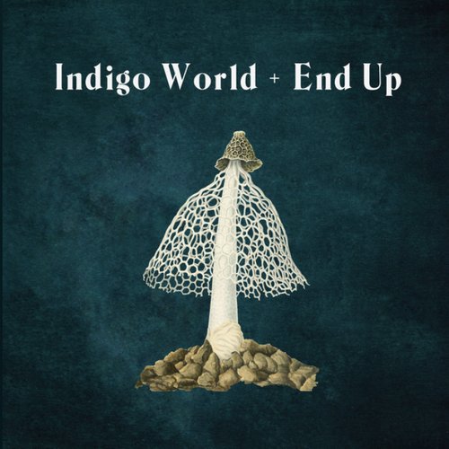 Indigo World / End Up