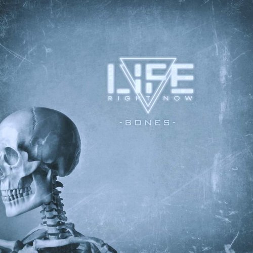 Bones