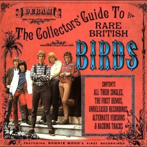 The Collectors' Guide To Rare British Birds