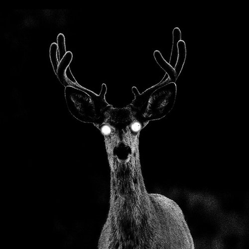 Skinwalker
