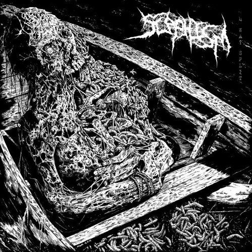 Scaphism 4 Way Split [Explicit]