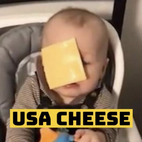 USA CHEESE