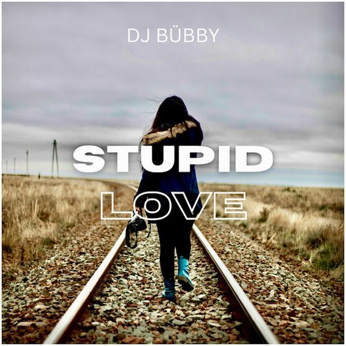 Stupid Love