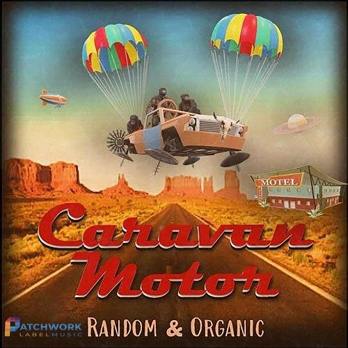 Random&Organic