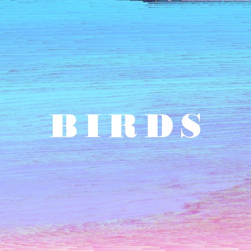 B I R D S