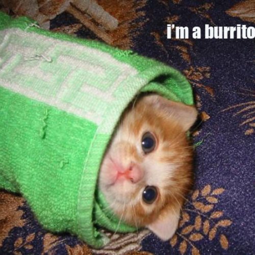 Burrito Split