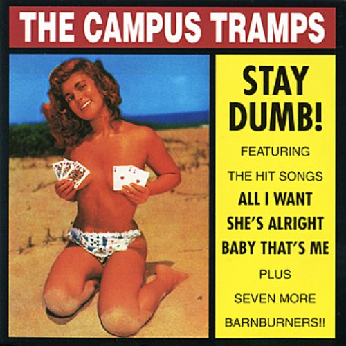 Stay Dumb!