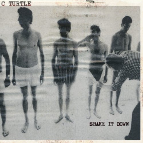 Shake It Down - Single