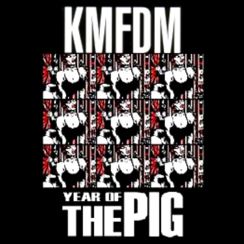 Year of the Pig