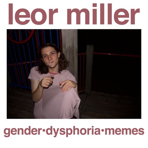 gender dysphoria memes