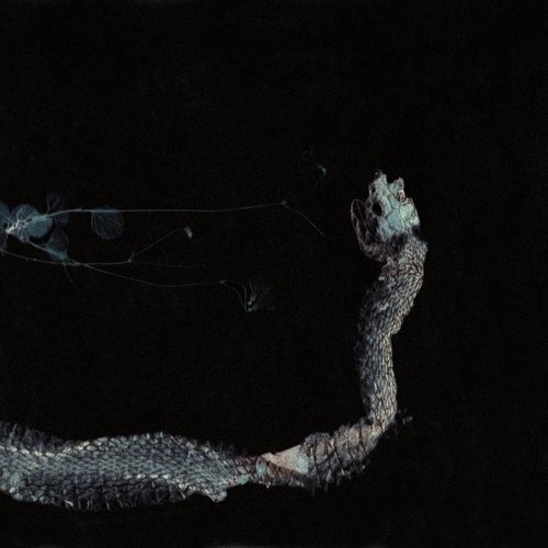 The Collected Works 1997-2007