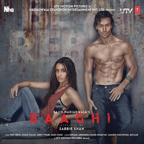 Baaghi