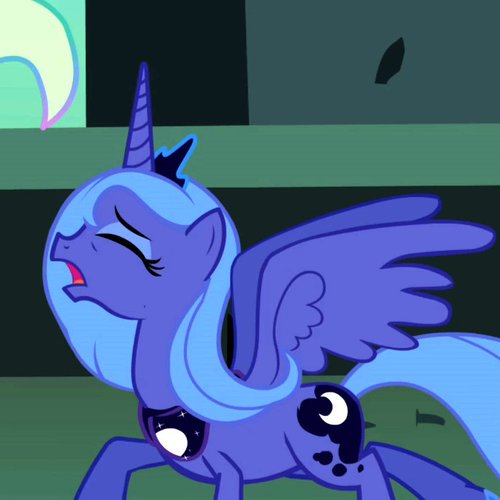 Luna's Stories
