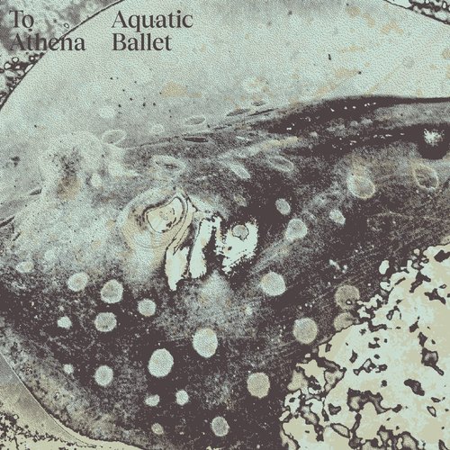 No History - Single